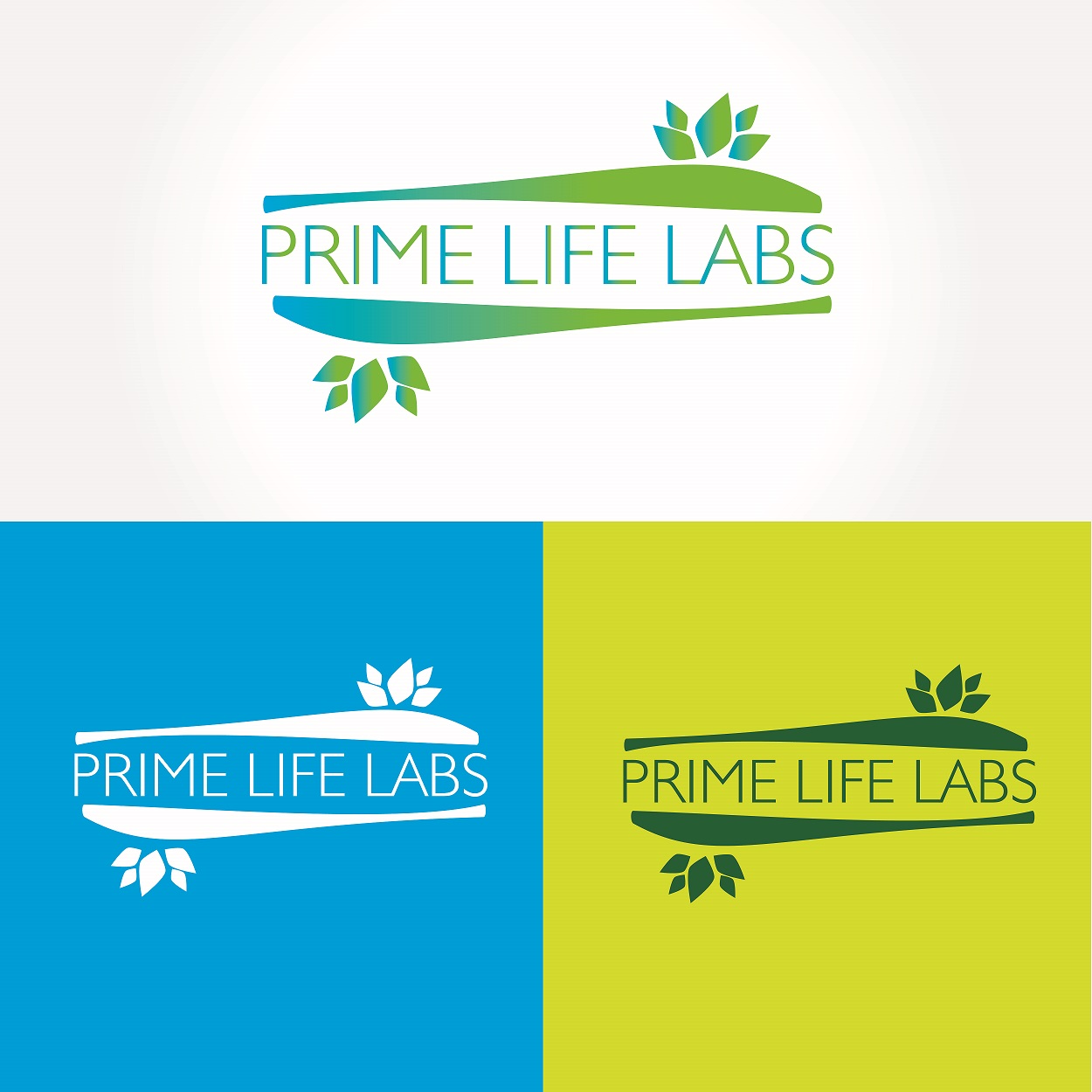 Logo Design by agps161 for this project | Design #14673237