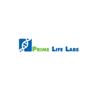 Logo Design by snaeem