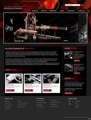 Web Design by pb for Bizproducer | Design: #568076