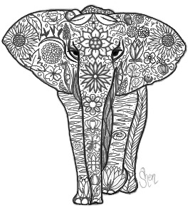 Illustration Design by Shenwhite