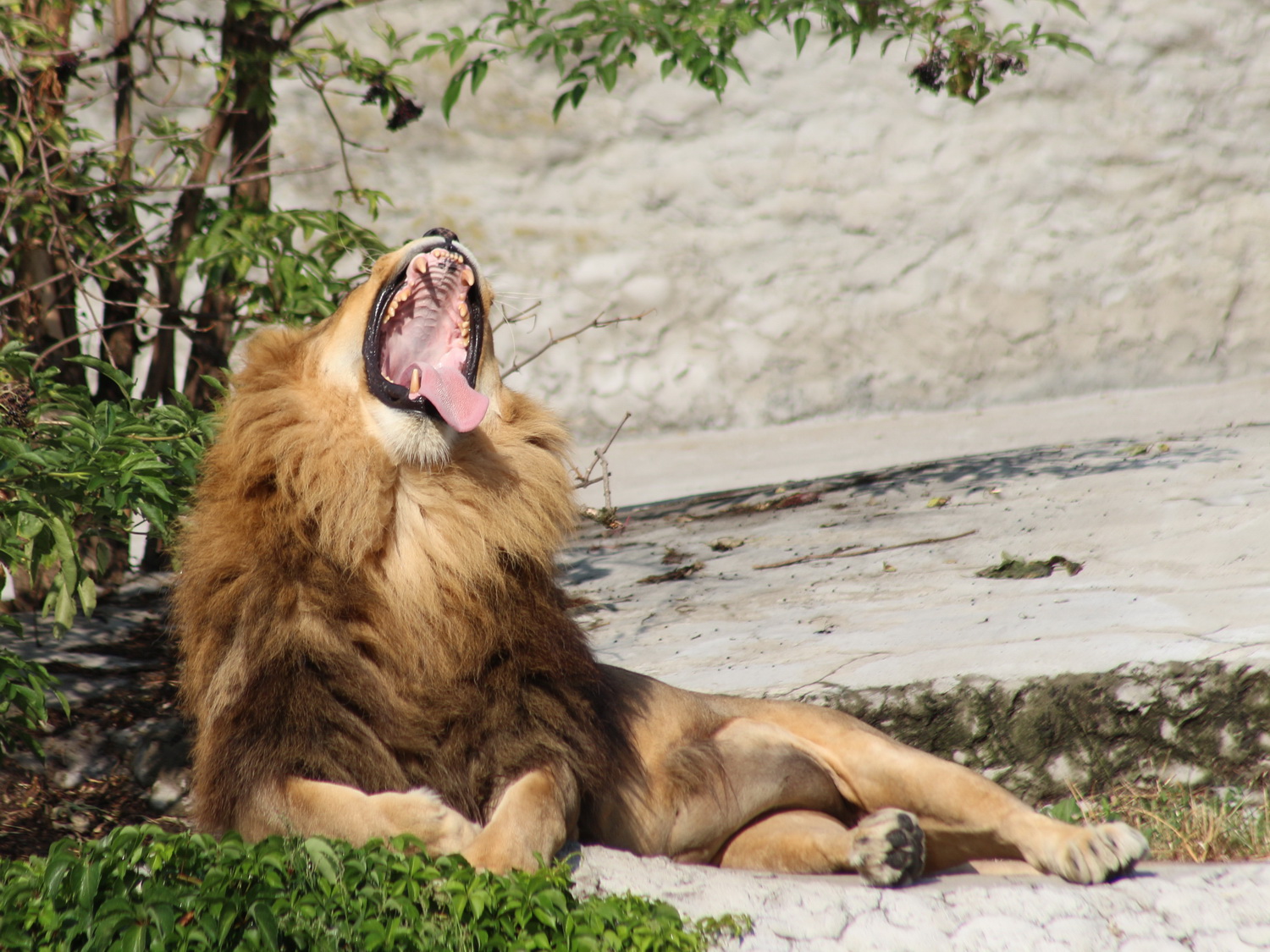 Photographie par mzmzmzmz pour DesignCrowd (Community Contests) | Design #14673789