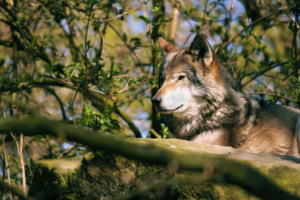 Photography by Casser