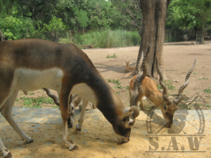 Photography by Piyush Kalyani