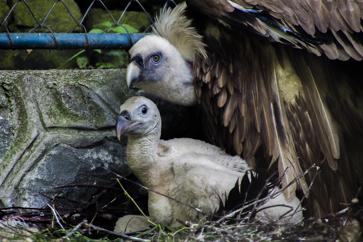 Photography by Fibby78 for DesignCrowd (Community Contests) | Design #14593828