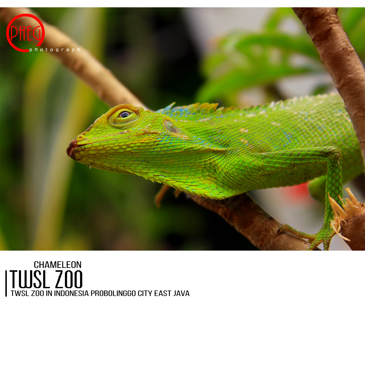 Photography by taufixyou28 for DesignCrowd (Community Contests) | Design #14615799