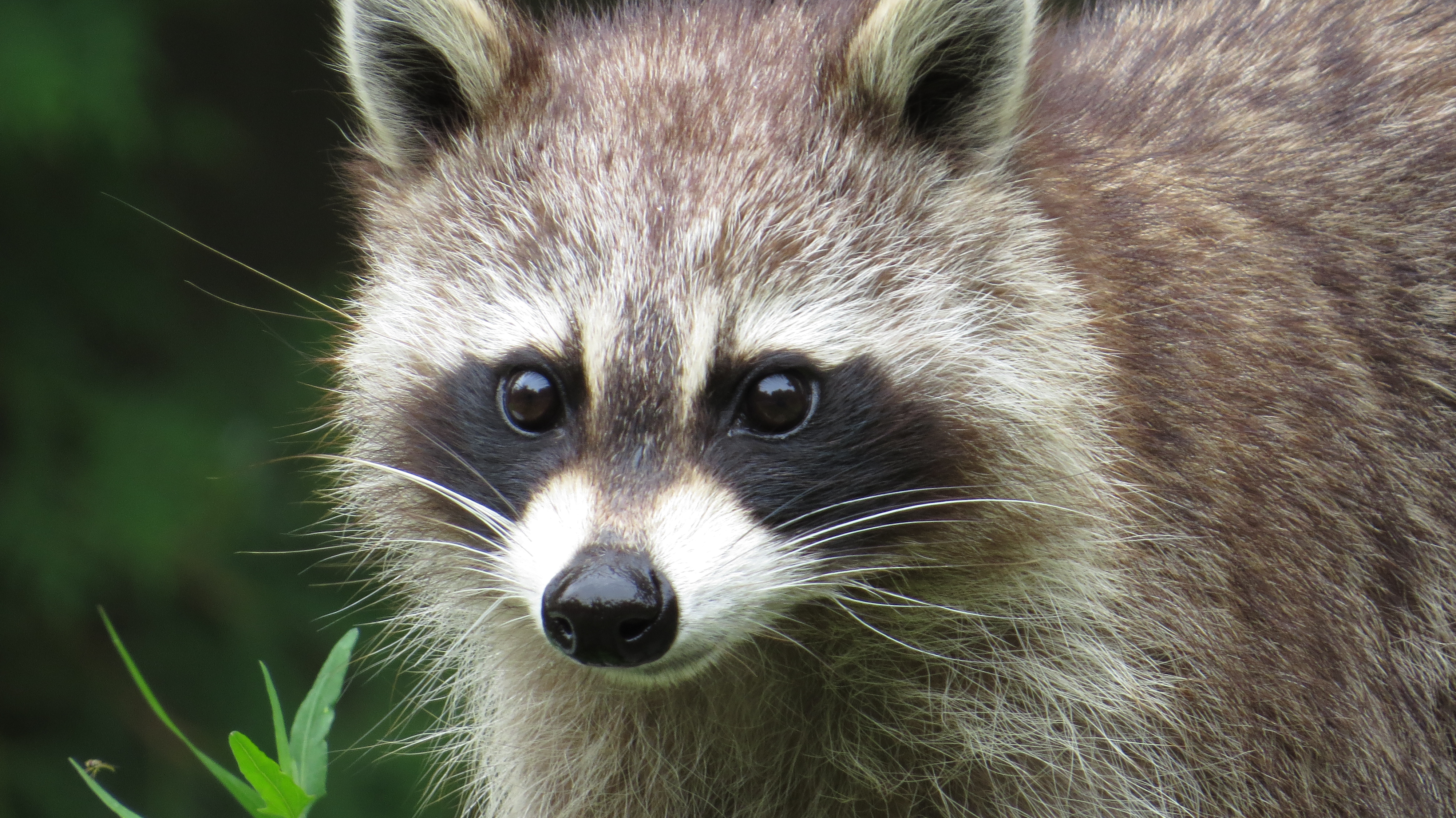 Photography by JUST MErav for DesignCrowd (Community Contests) | Design #14616904