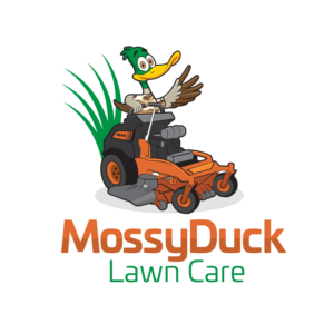 Logo Design by Mosa Abo swelem