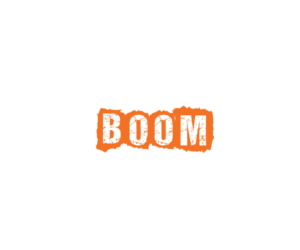 Logo Design by Top king  designer for Boom or Bust | Design: #14616095