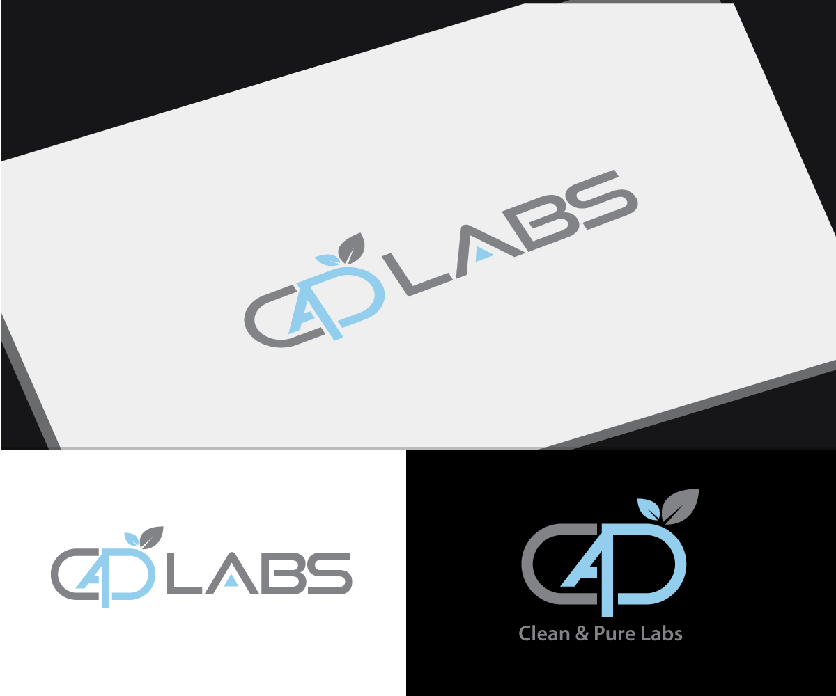 Logo-Design von future logo.com für Rudy Mawer Consulting LLC | Design #14605284