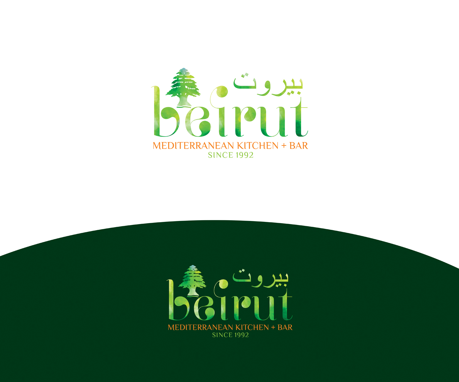 Logo Design by Loknadh busam for this project | Design #14669608