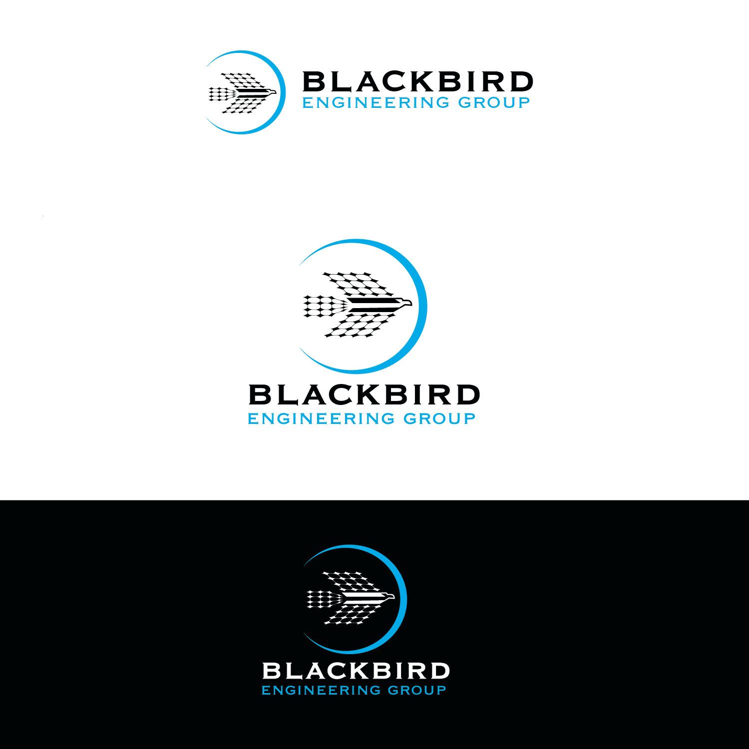 Logo Design by emptyboxgraphics for this project | Design #14645002