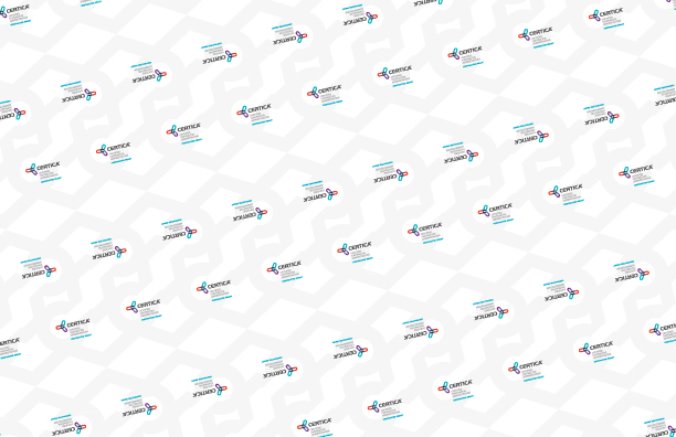 Packaging Design by Emagine Graphics for Certica | Design #2587813