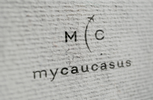 Logo Design by GLDesigns for MyCaucasus | Design: #14605696