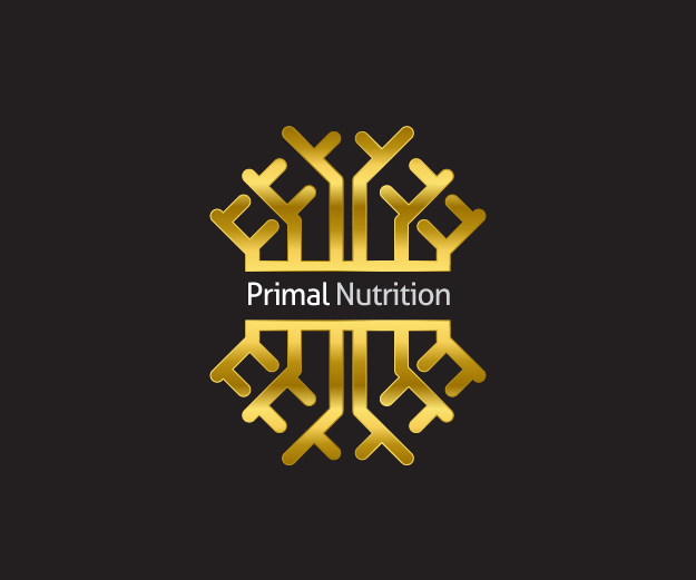 Logo Design by pasindu47 for Playtech Logic Ltd | Design #14638528