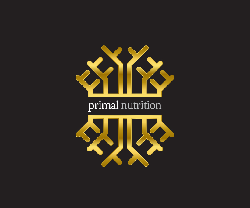 Logo Design by pasindu47 for Playtech Logic Ltd | Design #14640633