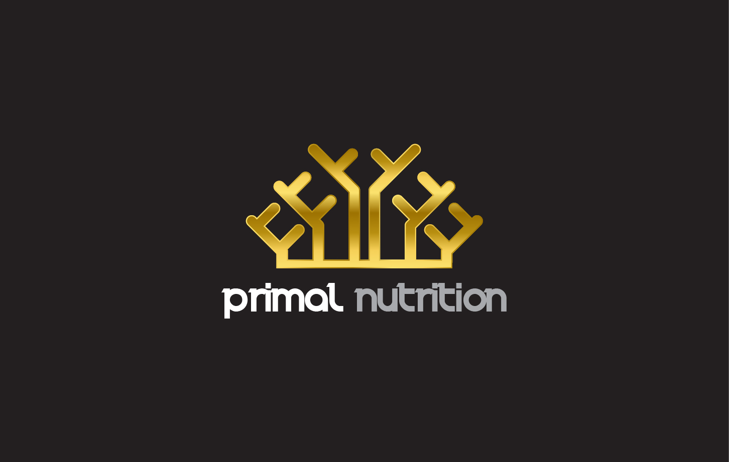 Logo Design by pasindu47 for Playtech Logic Ltd | Design #14658798