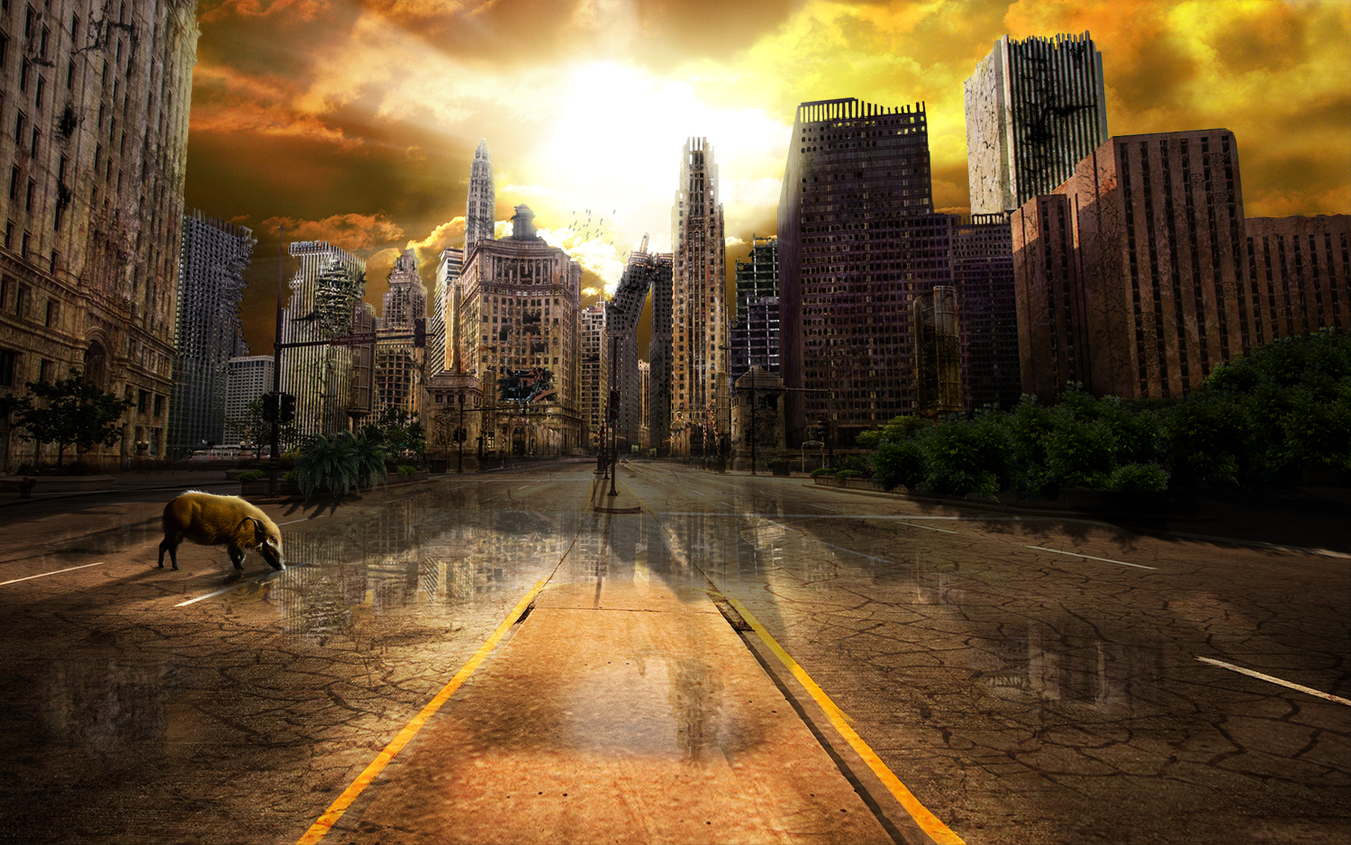 Diseño de Photoshop por HoboKing para DesignCrowd (Community Contests) | Diseño #14701902