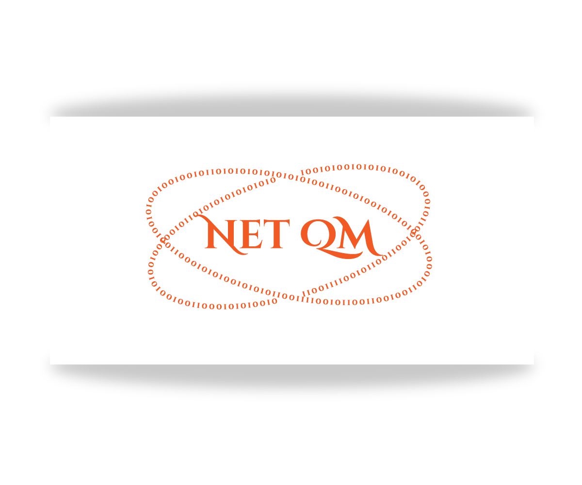 Logo-Design von EGYPT KING für Net Vision Consultants, Inc. | Design #14621761