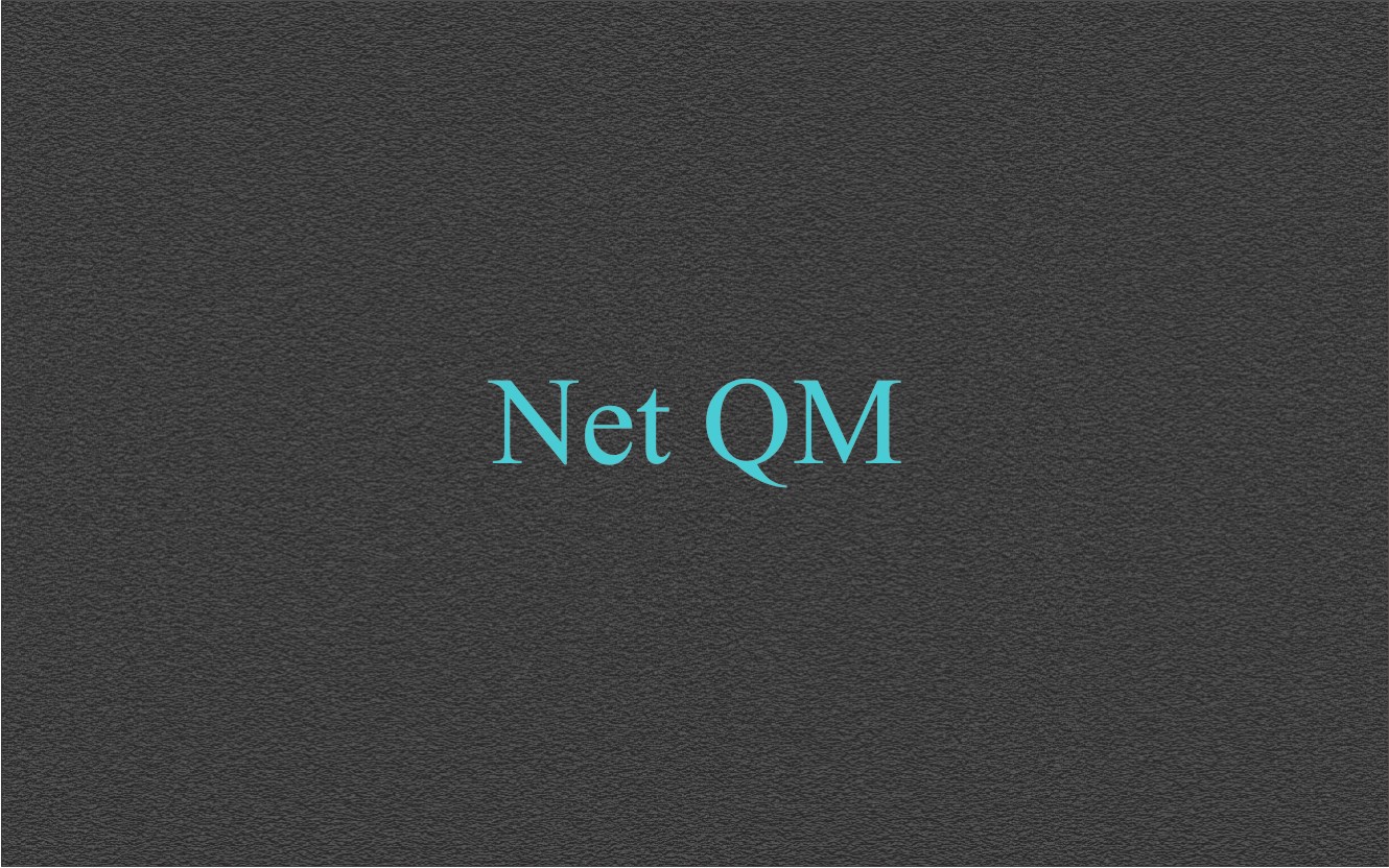 Logo Design by purnomofajar1003 for Net Vision Consultants, Inc. | Design #14622406