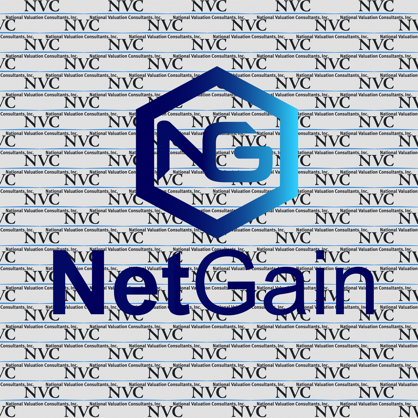 Logo Design by opieq for Net Vision Consultants, Inc. | Design #14626756
