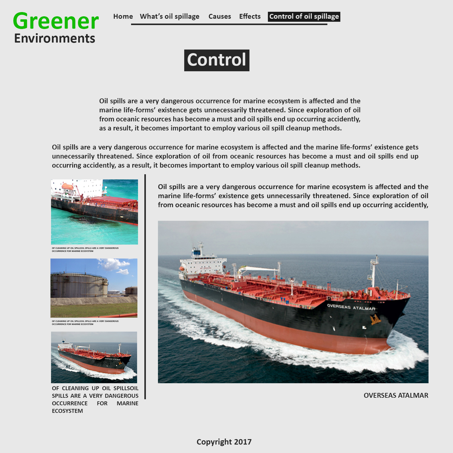 Web Design by Grafitti Alex for this project | Design #14640941