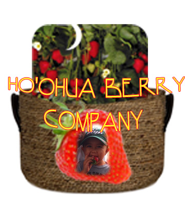 Diseño Con Ilustración por Alex Chirea para este proyecto | Diseño #568356