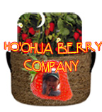 Illustration Design by Alex Chirea for this project | Design #568362