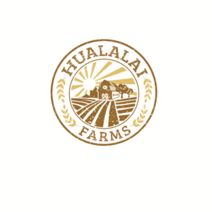 Logo Design by DesignsMix