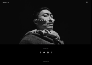 Web Design by Panther