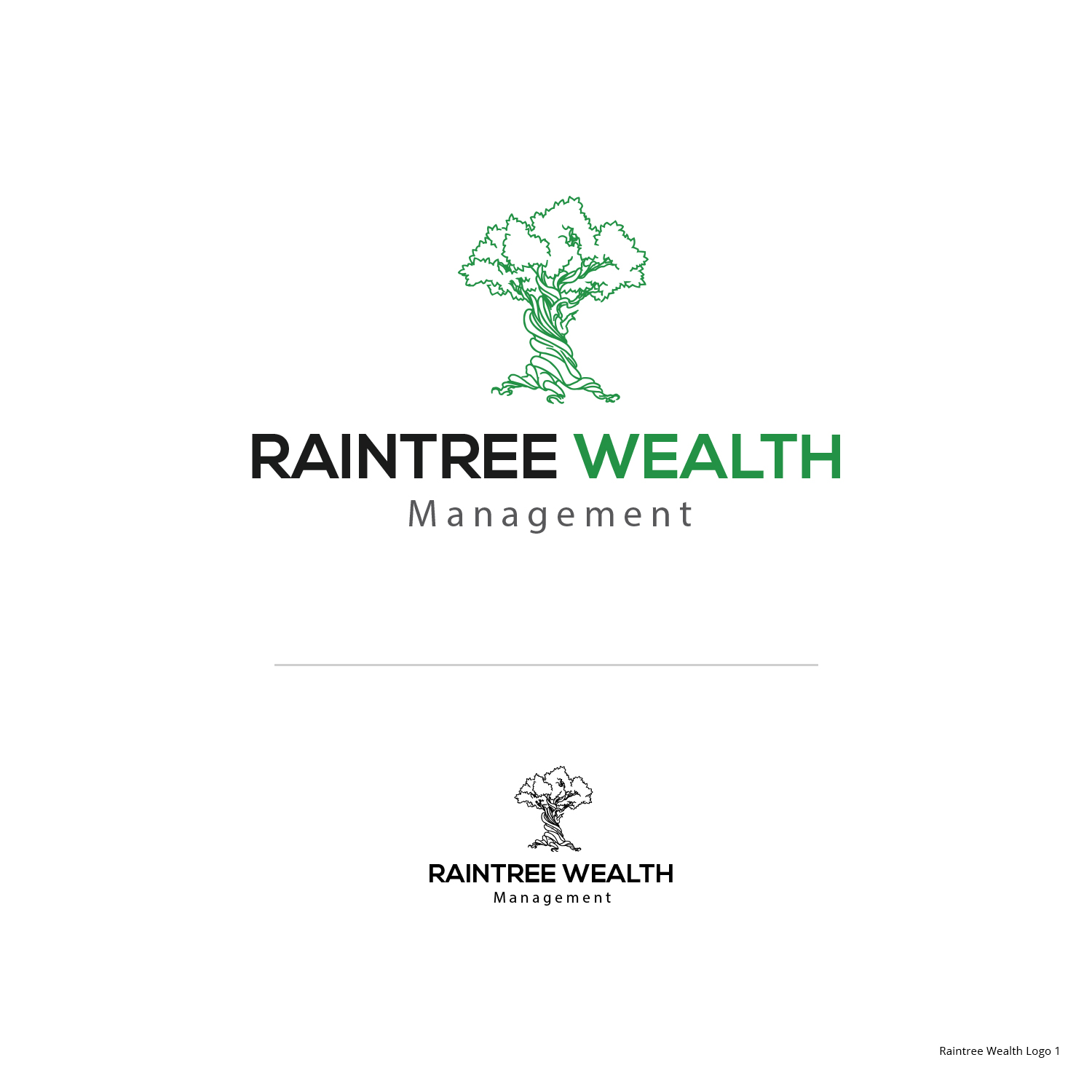 Design de Logo par Sketchweb pour RaintreeCapital | Design #14647589