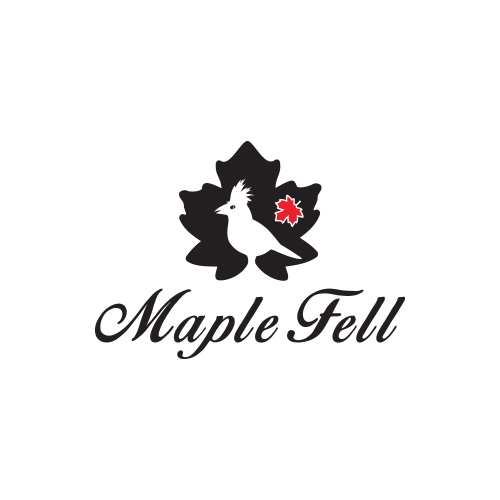 Logo Design by LOWENHART for Jason Taylor Interiors | Design #14686250