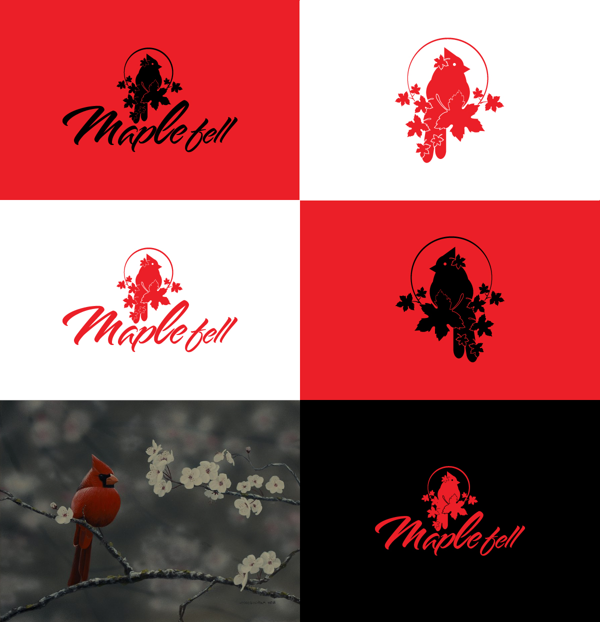 Logo Design by ElenaGabriela for Jason Taylor Interiors | Design #14699129