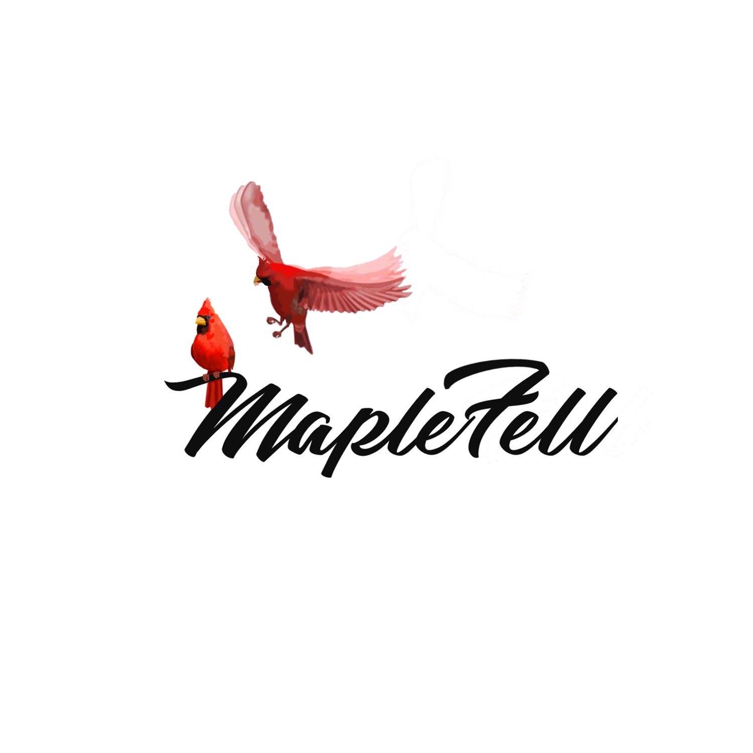 Logo Design by nouarbiti for Jason Taylor Interiors | Design #14696369