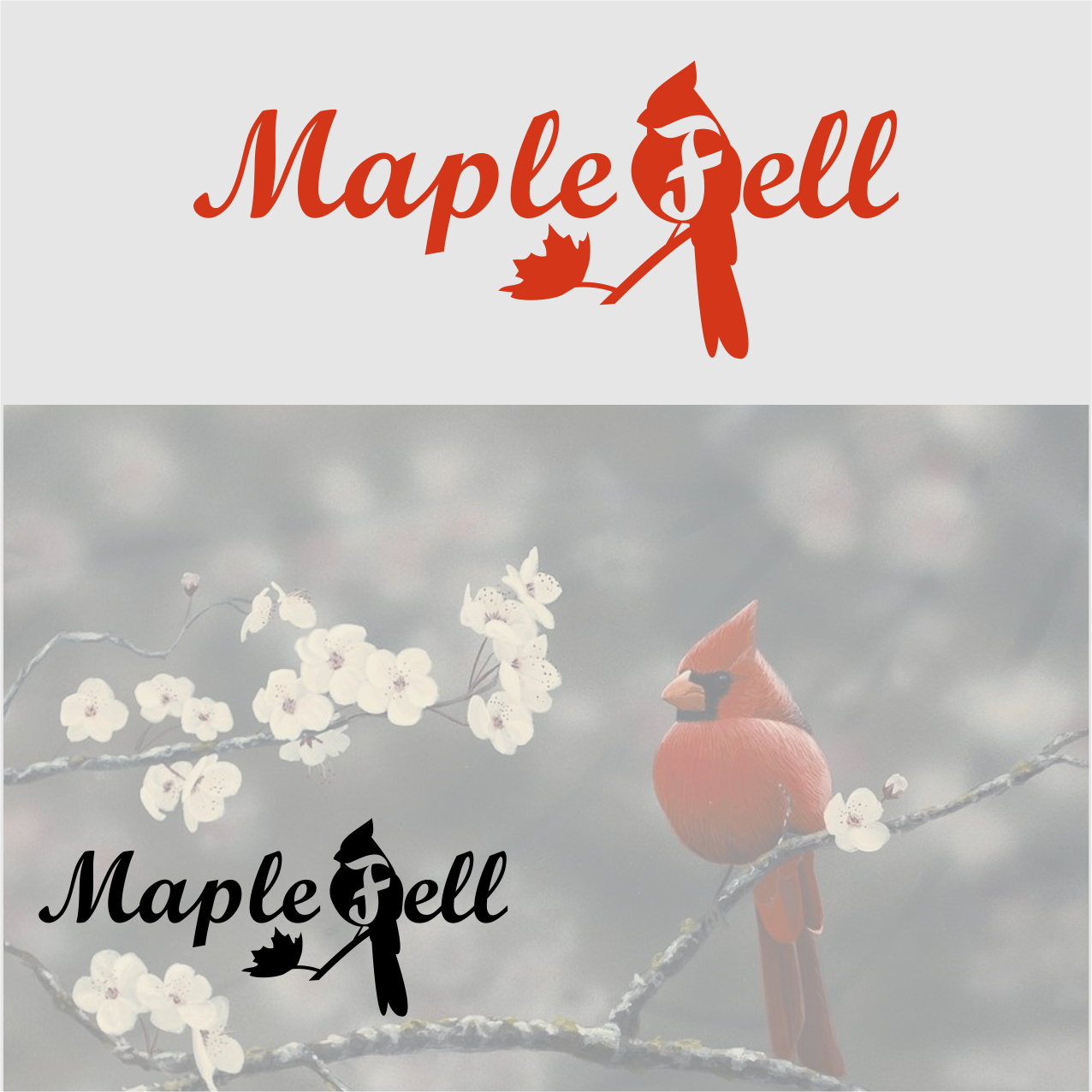 Design de Logo par lasri pour Jason Taylor Interiors | Design #14651386