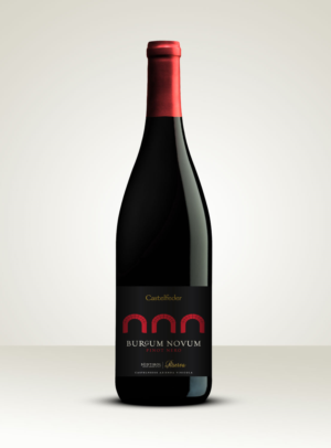 Re-styling Winelabel BURGUM NOVUM Riserva | Verpackungs-Design von Milos Jovic