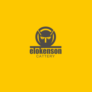 Logo Design by Patrick Davidson