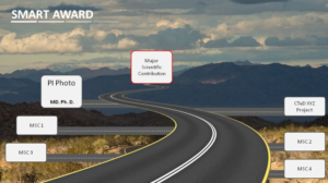 PowerPoint Design by blogerul for this project | Design: #14808425