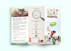 Flyer Design by - SWING -