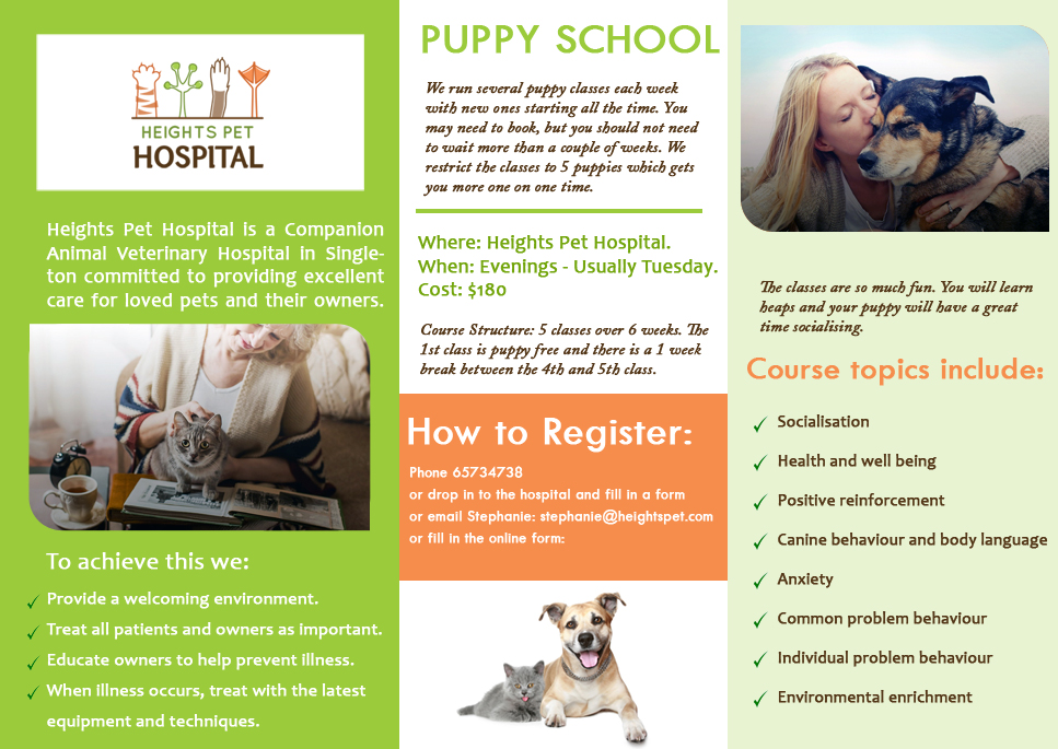 Design de Flyer par SURYA pour Heights Pet Hospital | Design #14698159
