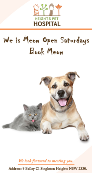 Diseño de Flyer por SURYA para Heights Pet Hospital | Diseño: #14698160