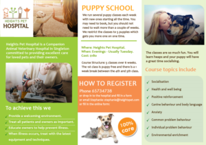 Diseño de Flyer por SURYA para Heights Pet Hospital | Diseño: #14706128