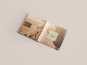 Veterinary Hospital Brochure - 2 Drafts - 1 Normal and 1 Fun.