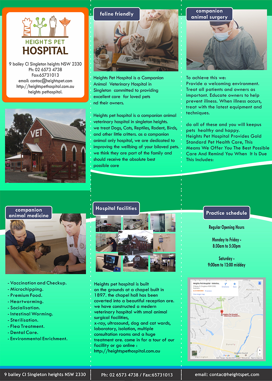 Flyer Design by songadam08 for Heights Pet Hospital | Design #14735944