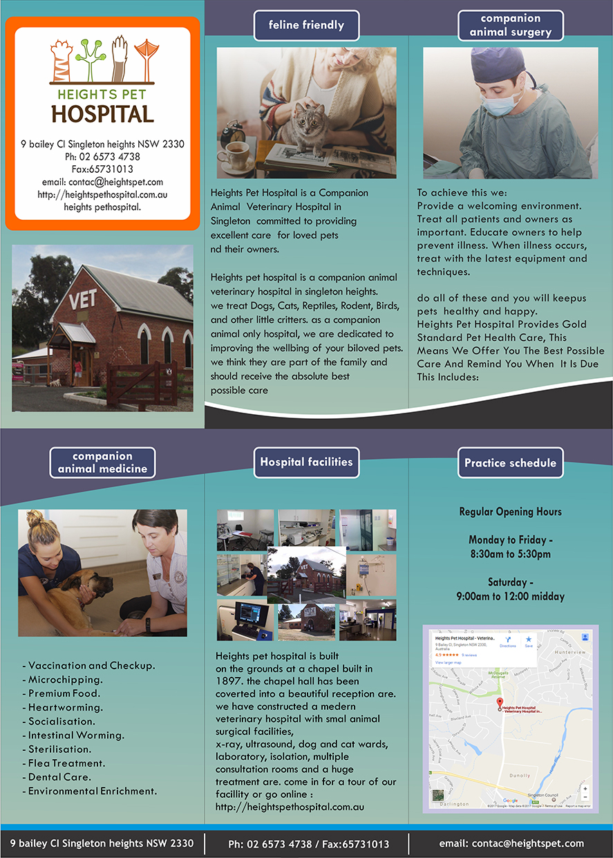 Flyer Design by songadam08 for Heights Pet Hospital | Design #14752299