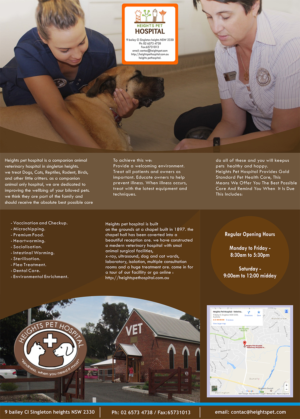 Flyer Design by songadam08