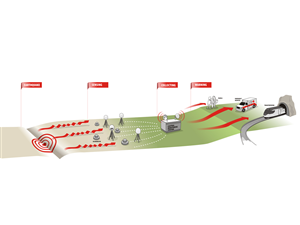 Illustration Design by Voltage Gated