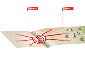 Illustration Design by Voltage Gated for Studio Tectonic | Design: #2557480