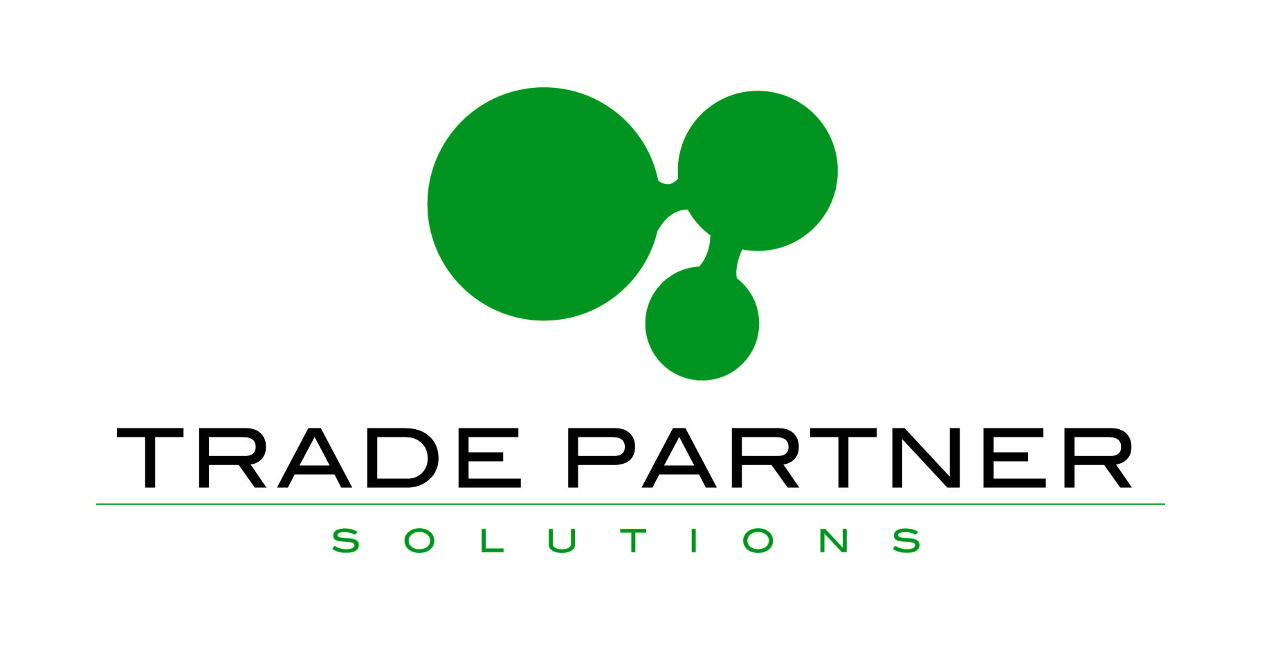 Logo Design by Rising Sun