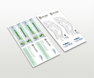 Business Card Design by Graphic Flame for Three Hills | Design: #14658096