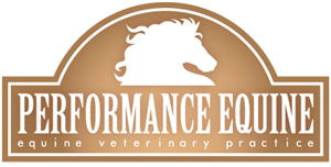 Performance Equine | Logo Design by shonecom